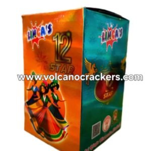 12 Shots (1pce/1box)