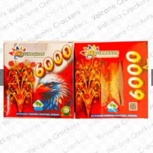 6000(1pce/1box)